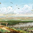 Illustration: Ein Holzsteg überblickt eine weite, flache Landschaft mit vielen Vögeln am Himmel und auf dem Boden.