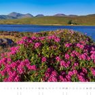 Blühender Rhododendron am See. Kalender unter der Landschaft mit Bergen, blauem Himmel und Wasser. Datum: Juni.