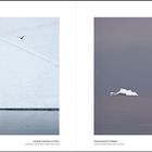 Cover/Product zoom