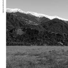 Links oben steht "Alpine Architecture in the Press". Eine schneebedeckte Bergkette erhebt sich hinter einer Waldlandschaft.