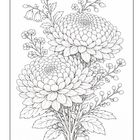 Illustration von detaillierten, blühenden Chrysanthemen mit Knospen und Blättern, elegant schattiert.