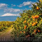 Kalender zeigt Sizilien - Ätna. Orangenbäume im Vordergrund, schneebedeckter Vulkan unter blauem Himmel.
