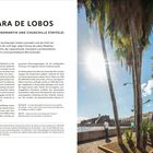 CÂMARA DE LOBOS: Fischerboote schaukeln, Duft von Poncha und Meer. Palmen vor Sonne, Hafenstadt, blauer Himmel, Menschen spazieren.