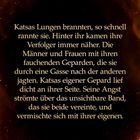 Text: "Katsas Lungen brannten, so schnell rannte sie..." 
Der Hintergrund ist dunkel mit orangefarbenen Lichtspuren.