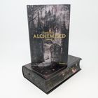 Buchtitel „SenLiNYu ALCHIEMISED Roman“. Cover mit gotischen Türmen und einem Tor, dahinter eine geheimnisvolle Szene.