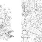 Eine filigrane Illustration zeigt links eine Schnecke auf einem Pilz. Rechts schläft eine Katze zwischen Blättern und Pilzen.