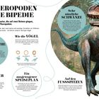Die Theropoden und die Bipedie. Schreckliche Beine. Herrscher der Erde. Wie die Vögel. Sehr nützliche Schwänze. Ein Dinosaurier im Dschungel.
