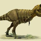 Ich sehe keinen Text. Illustration eines T. rex mit offenem Maul, in Brauntönen. Er steht auf grünem Boden mit Farnen.