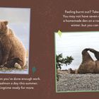 Text: Überarbeitung? Nimm dir ein Beispiel an Bären. Vertraue dir selbst, um zu wissen, wann genug gearbeitet wurde.  
Beschreibung: Zwei Fotos von Bären, die entspannt in der Natur liegen.