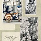 Sweet Days in Wien. Pferdekutsche, Skulptur, Café mit Palmen; stilvolle Vintage-Ästhetik.