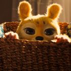 Ein kleines, gelbes, tierähnliches Wesen mit großen Augen schaut über den Rand eines geflochtenen Korbes.