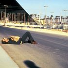 Stoppschild. Eine Person liegt auf einer Straße vor einer Pyramide und einer Sphinx. Im Hintergrund sind Palmen zu sehen.