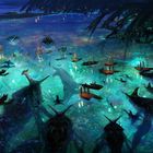 Eine farbenfrohe Illustration zeigt Boote auf leuchtendem Wasser, umgeben von großen Meereskreaturen und geheimnisvollen Pflanzen.