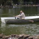 Ein Mann rudert ein kleines Boot auf einem See, umgeben von ruhigem Wasser und einigen Vögeln am Ufer.