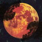 Eine Illustration eines großen orangefarbenen Mondes, teilweise von Baumsilhouetten verdeckt, umgeben von einem sternenklaren Himmel.