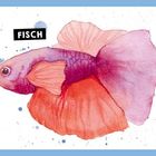 Text "FISCH". Ein bunter Fisch mit großen, schillernden Flossen in einer sanften Illustration.