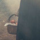 Eine Person trägt einen Korb voller roter Äpfel auf einem nebligen Waldweg. Der Korb ist mit einem Tuch ausgelegt.