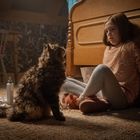 Ein Kind sitzt auf dem Boden neben einem Bett. Ein zotteliger Kater sitzt davor und schaut es an. Links steht eine Sprühflasche.