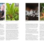 Links oben: "Above: Biochar can be added to soil to improve drainage."
Darunter Text über Biochar als Kohlenstoffschwamm. 
Rechts oben: "Above: Radishes are an example of a cover crop that can be grown to benefit the soil." 
Darunter: "Integrating amendments into a soil care plan." 
Rechts: "Above: Adding vegetable and fruit waste to a compost heap."