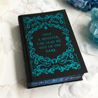 Auf der Buchdecke steht: "ONLY A MONSTER CAN LEAD ME OUT OF THE DARK." Verziert mit blauen, floralen Mustern.