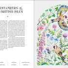 "Wildflowers of the British Isles"; zeigt bunte Blumen und zwei Vögel, umgeben von detaillierter Flora und Beeren.