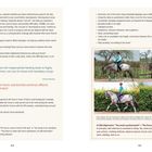 Texte: „Irregular training combined with inappropriate feeding leads to highly symptomatic horses over time...”  
Zwei Seiten mit Text über Pferdetraining, unter anderem über Entwicklungsbereiche und potenzielle negative Einflüsse. Farbfotos von einem Reiter auf einem gescheckten Pferd, verschiedene Phasen des Trainings darstellend. Textkästen mit Hinweisen und Zitaten.