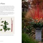 Links: Text über Winterdeko. 

Rechts: Pflanzgefäß mit roten Zweigen, Eukalyptus, beleuchtet durch LED, im Garten.