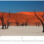 Abgestorbene Bäume im Deadvlei. Eine Wüstenlandschaft mit vertrockneten Bäumen vor roten Dünen und blauem Himmel.