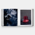 Seite 377, "LEADERSHIP". Links Palmen vor wolkigem Himmel, rechts rote Obstskulptur auf Dunkelgrau.