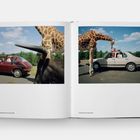 Links: West Midland Safari Park, England, 1990. Rechts: Longleat Safari Park, England, 1994. Zwei Autos mit Giraffen.