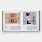 Links: Illustrationen von Hunden, oben weiß, unten schwarz. Rechts: Skulptur mit geschwungenen, ineinander verschlungenen Bändern.