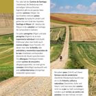 El Camino de Santiago – Wir sind dann mal weg. Landschaft: ein schmaler Pfad durch sanfte Hügel unter blauem Himmel.