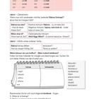 Texte zu Verabredungen und Zeitfragen, Konjugationstabelle, Kalenderillustration, Aufgabenstellung.