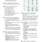Lösungen, Numerierte Einträge 3 bis 11, Tabellen über lateinische Deklinationen und Wörter, Seitenzahl 59.