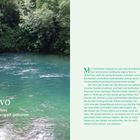 Timavo: Ein kurzer Fluss aus der Unterwelt geboren. Bild von einem ruhigen, türkisfarbenen Fluss, umgeben von dichter Vegetation.