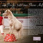 Tipps und Tricks für den Show-Auftritt. Frau in Rot und Weiß mit Pferd auf Zirkuspodest vor Publikum.