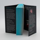 Linke Seite: Text zu einem Gespräch im MI5. Rechte Seite: Über den Autor, Foto, Buchtitel erwähnt. Buchrücken türkis.