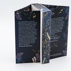 Text beschreibt die Vorweihnachtszeit, Gefühle, Adventskalender und einen magischen Weihnachtsabschluss. Coverdesign mit Sternen und Pflanzenmotiven.