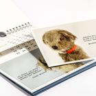 Text: „Können die Leute nicht ein bisschen leiser dumm sein?“ Mechthild Knispel. Kalender mit Bild eines Stofftieres.