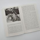 Cover/Produkt Ansicht vergrößern