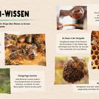 Spannendes Bienen-Wissen! Texte über den Schwänzeltanz, einzigartiges Summen, Lebensdauer, Honigwaben und Bienenhygiene.