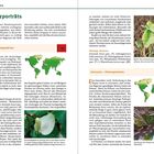5b – Kurzporträts: Informationen über Aronstab- und Palmengewächse mit Verbreitungskarten und Pflanzenfotos.