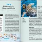 TOUR Kinderstube der Meeresschildkröte. Infos: Nationalparkhaus, Bootsfahrten, Cameo Island. Bild: Meeresschildkröte schwimmt.