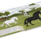 „Sie können sogar Freundschaften schließen“, zeigt Pferde auf einer Wiese, manche galoppieren, andere grasen, mit Bäumen im Hintergrund.