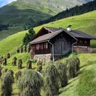Keine Texte. Eine Holzhütte steht auf einer grünen Wiese vor einem Berg. Heubündel sind in der Nähe verteilt.