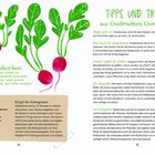 Tipps und Tricks zu Radieschen, Rezept für Keimsprossen. Illustration mit Radieschen und Zutatenliste.