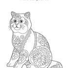 Text: "Male die Katze nach deinen Wünschen mit deinen Lieblingsfarben aus." Illustration einer Katze mit dekorativen Mustern.