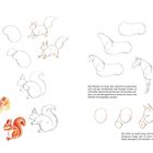 EICHHÖRNCHEN: Beschreibung des einzigartigen Verhaltens und Aussehen. Anleitungen zum Zeichnen von Pferden und Eichhörnchen.