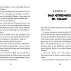 Links unten: Seite 12. Rechts unten: Seite 13. Titel: KAPITEL 2 DAS GEHEIMNIS IM KELLER. Text beschreibt Luca und Geschehnisse.