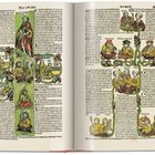 "Das Erhalter," "Lineacrii," "Adam" oben; "Cainan," "Enos" in grün-braunem Stammbaum mit Figuren in mittelalterlicher Kleidung.